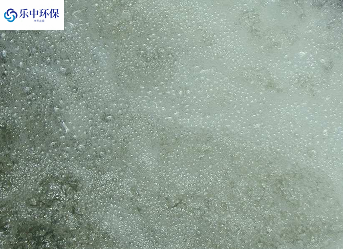溶氣氣浮機泡沫多什么原因？如何解決？