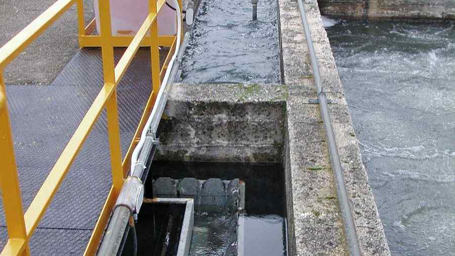 廢水中氨氮的測定方法具體流程(氨氮的測定方法有哪些) 廢水中氨氮的測定方法具體流程(氨氮的測定方法有哪些)